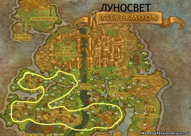 текст при наведении
